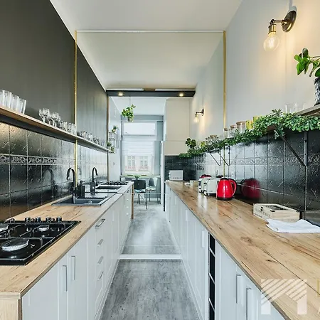 Apartment Piotrkowska Pasaz Schillera By Lookap