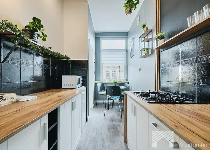 Piotrkowska Pasaz Schillera By Lookap 公寓