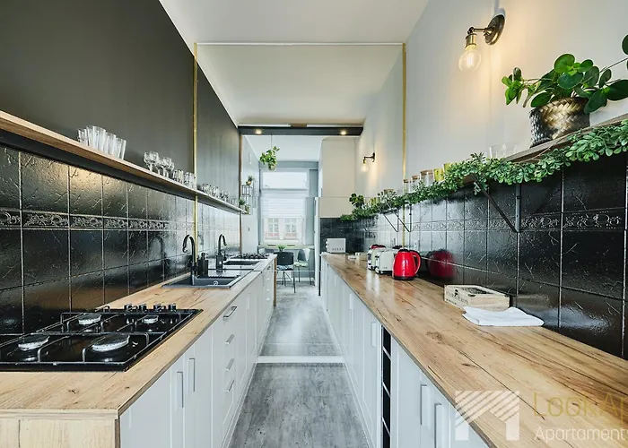 公寓 Piotrkowska Pasaz Schillera By Lookap