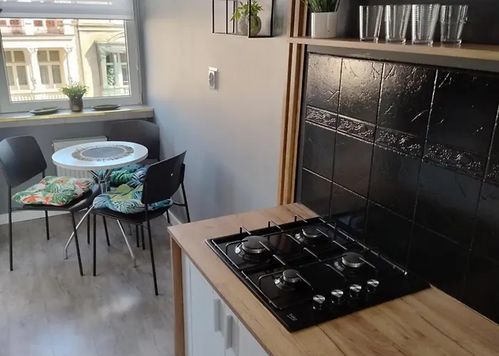 Piotrkowska Pasaz Schillera By Lookap 公寓 罗兹